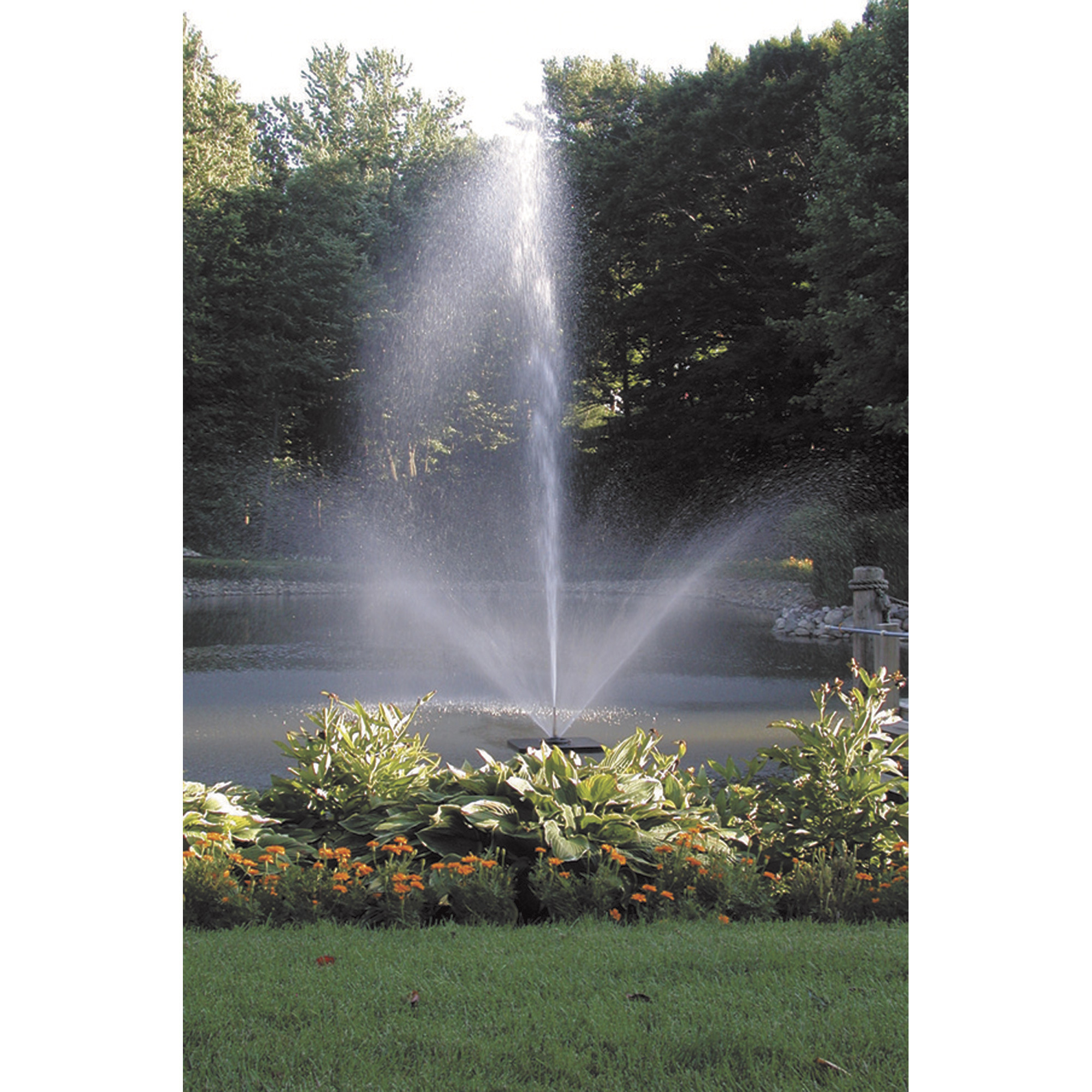 Scott Aerator Skyward Big Shot™ Fountain, 1/2 HP, 110 Volt, 70-Ft. Cord, Model# 13005